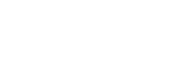 Magnetiska Minnen